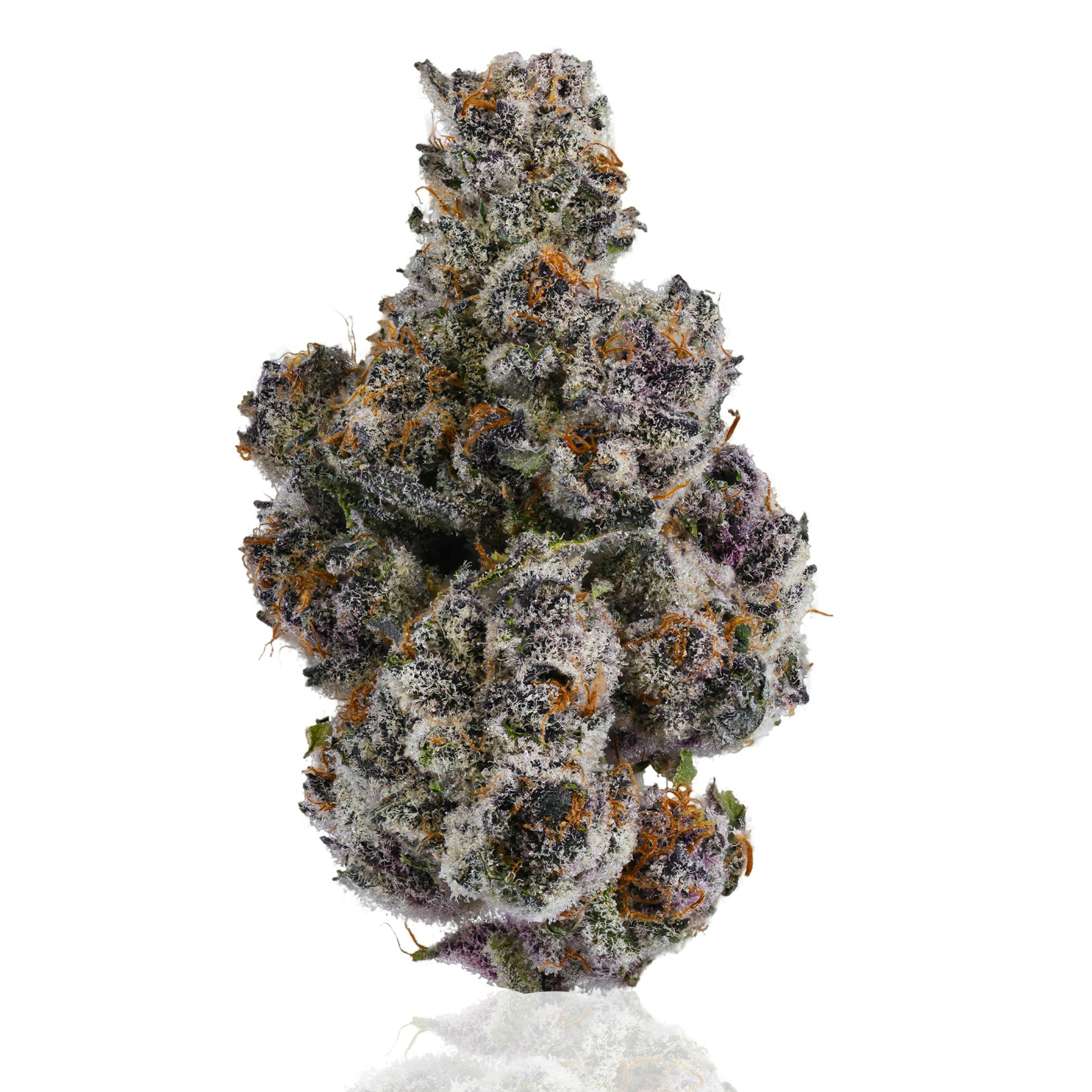 CAM - CAM | Super Buff Cherries | Big Buds | 14g - 1