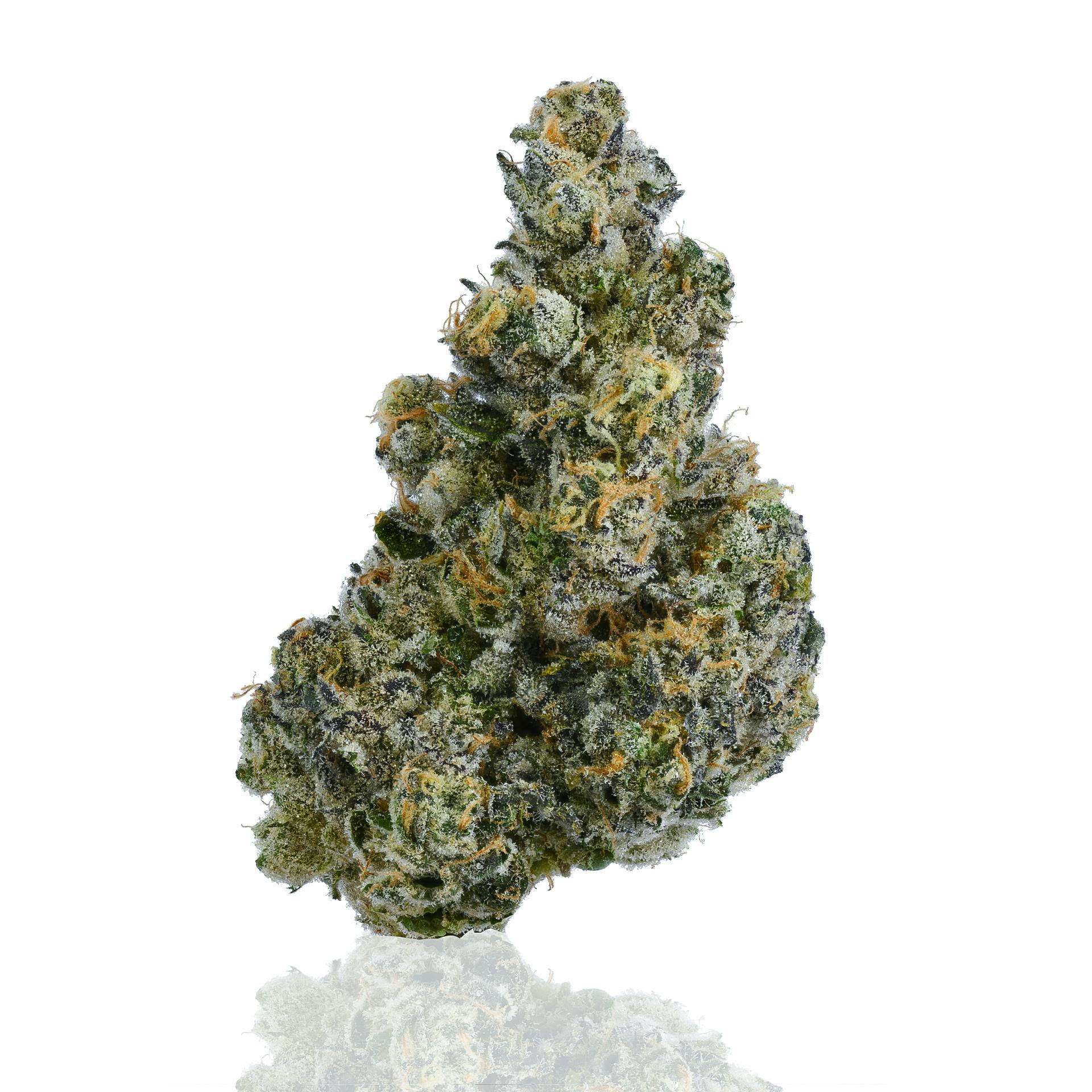 CAM - CAM | Bubba's Girl | Big Buds - 1