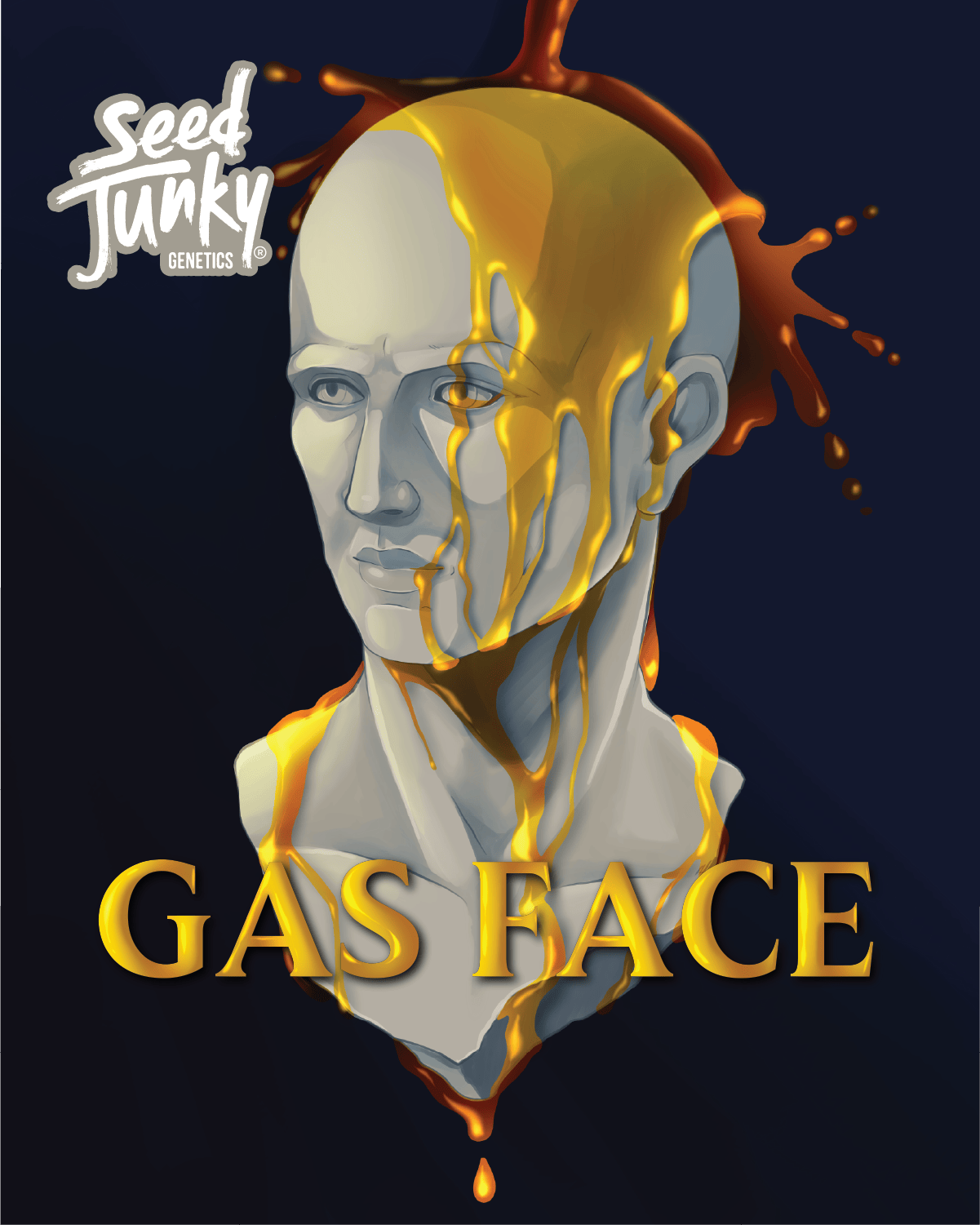 Seed Junky - Seed Junky | Gas Face | Big Buds | 3.5g - 1