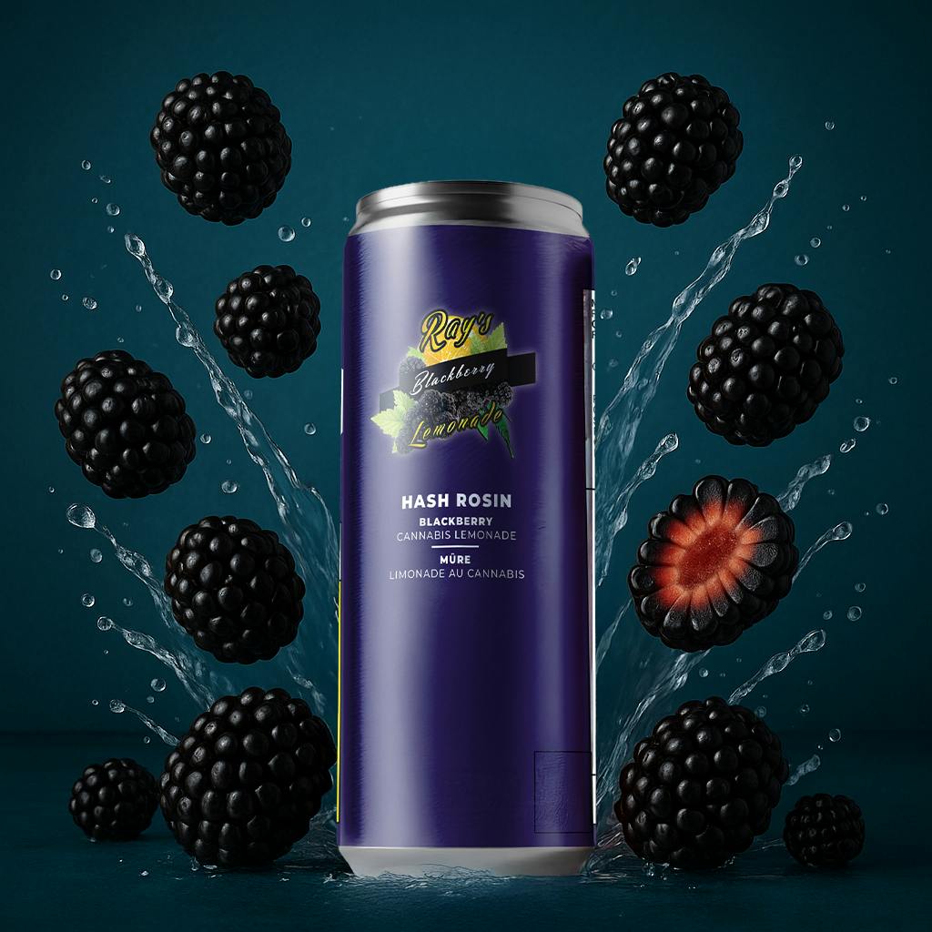 Ray's Lemonade - Ray's Lemonade | Blackberry Lemonade | Non-carbonated | 10mg | 12 fl oz - 1
