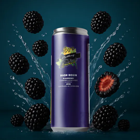 Ray's Lemonade - Ray's Lemonade | Blackberry Lemonade | Non-carbonated | 10mg | 12 fl oz - 1