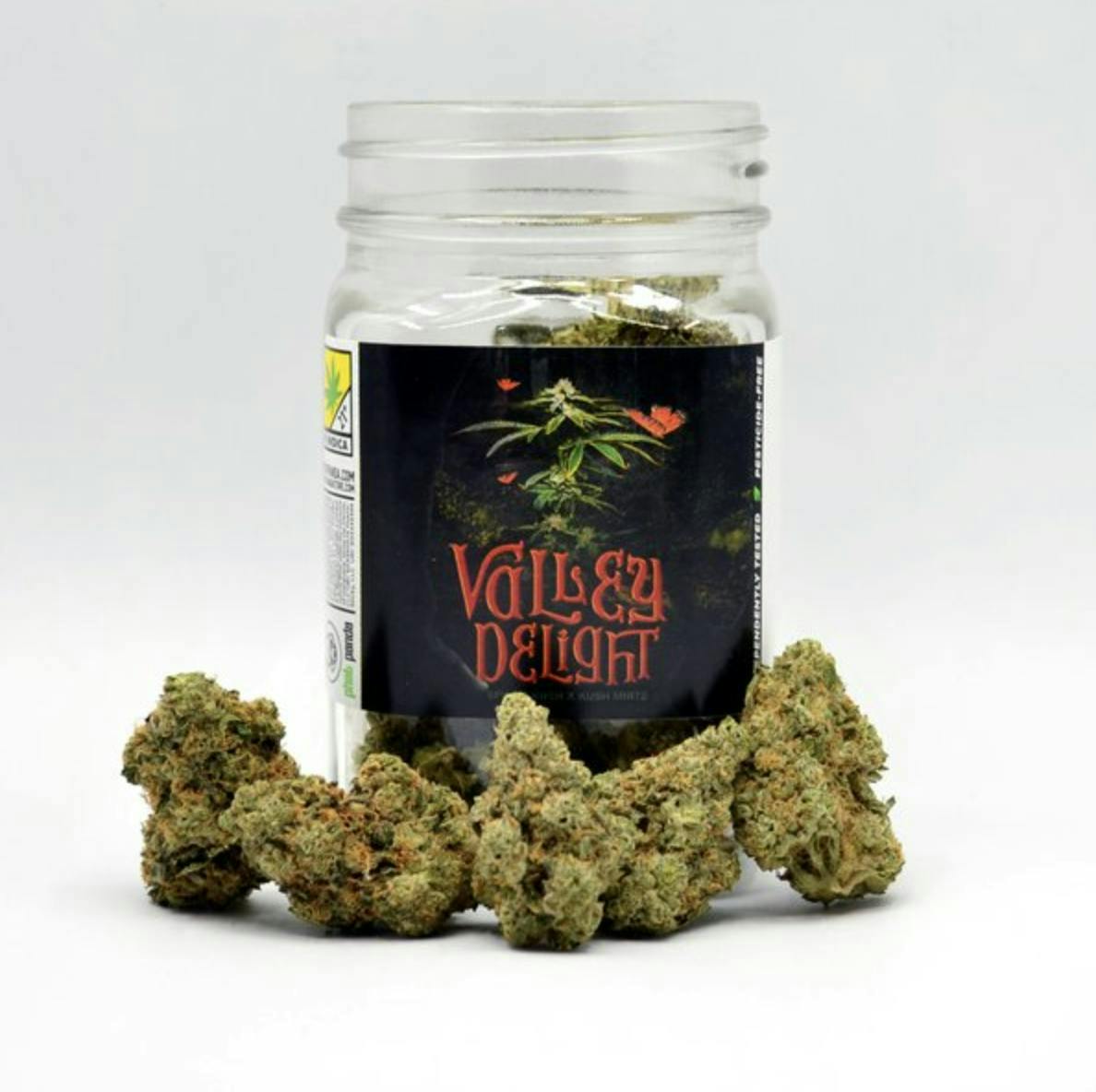 Snickle Fritz - Valley Delight | Big Buds | 7g - 1