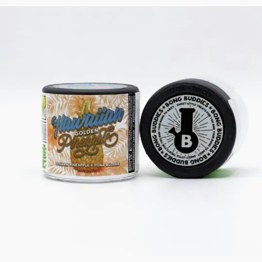 Snickle Fritz - Hawaiian Golden Pineapple | Small Buds | 2g - 1
