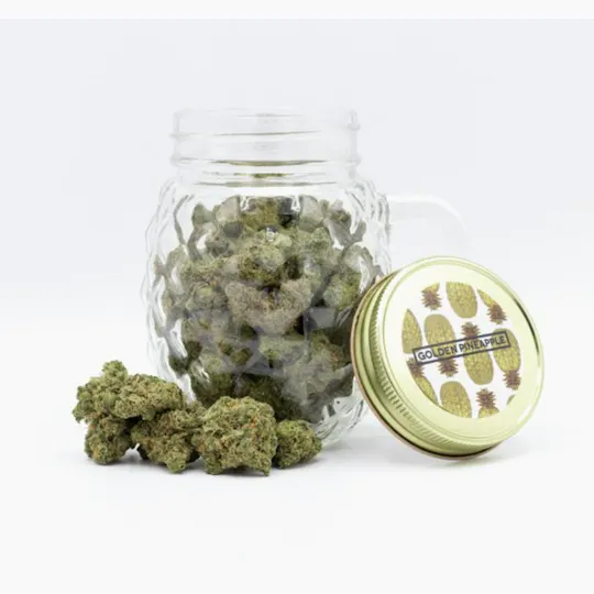 Snickle Fritz - Golden Pineapple | Small Buds | 14g - 1