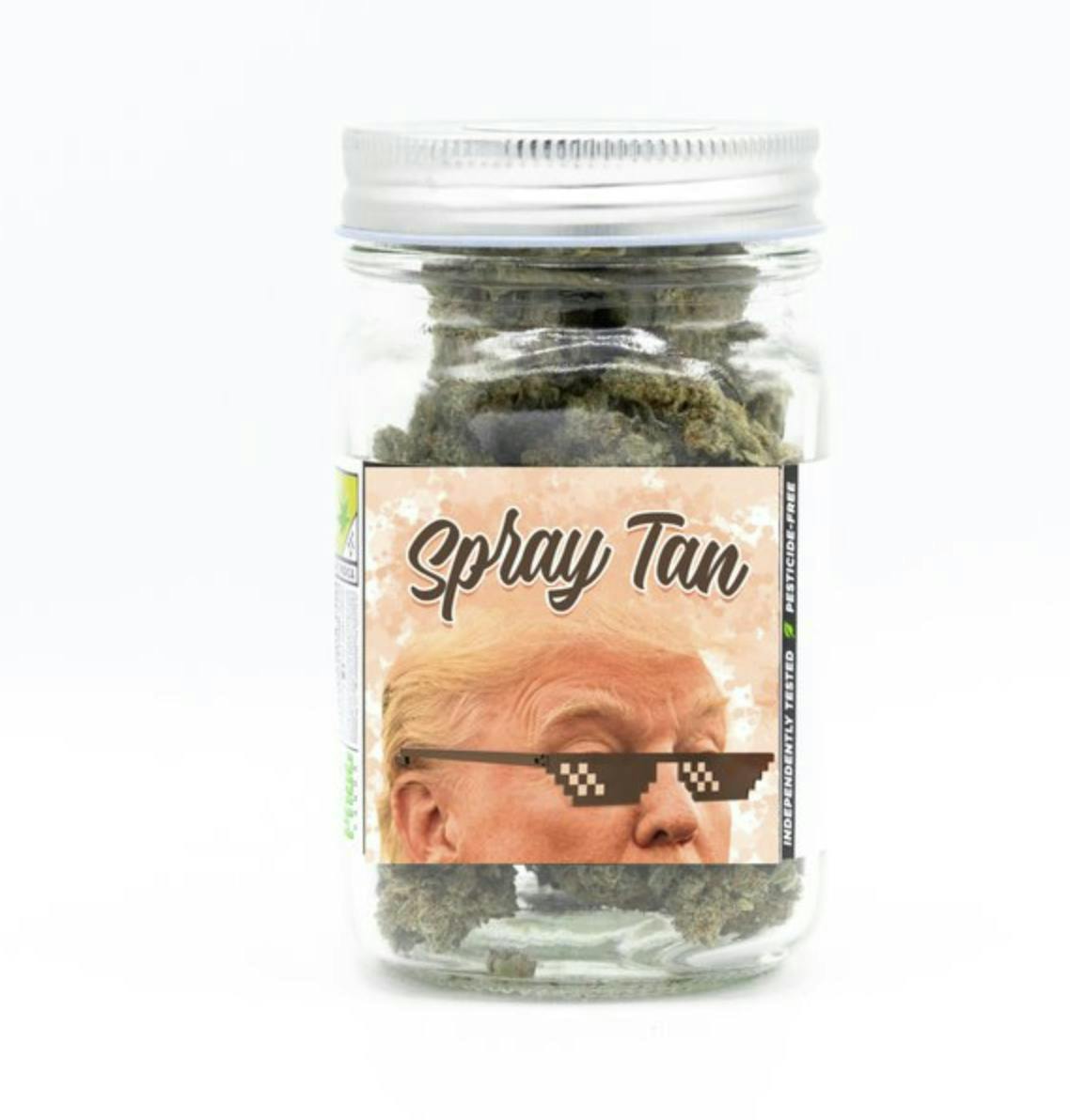 Snickle Fritz - Platinum | Spray Tan | Big Buds | 3.5g - 1