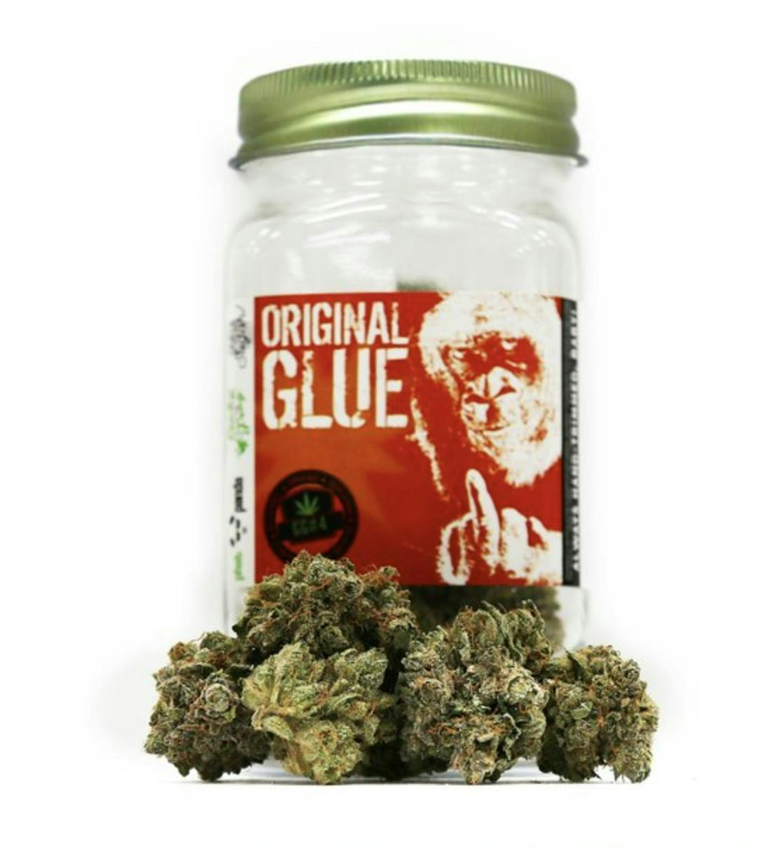 Snickle Fritz - Platinum | Original Glue | Big Buds | 3.5g - 1