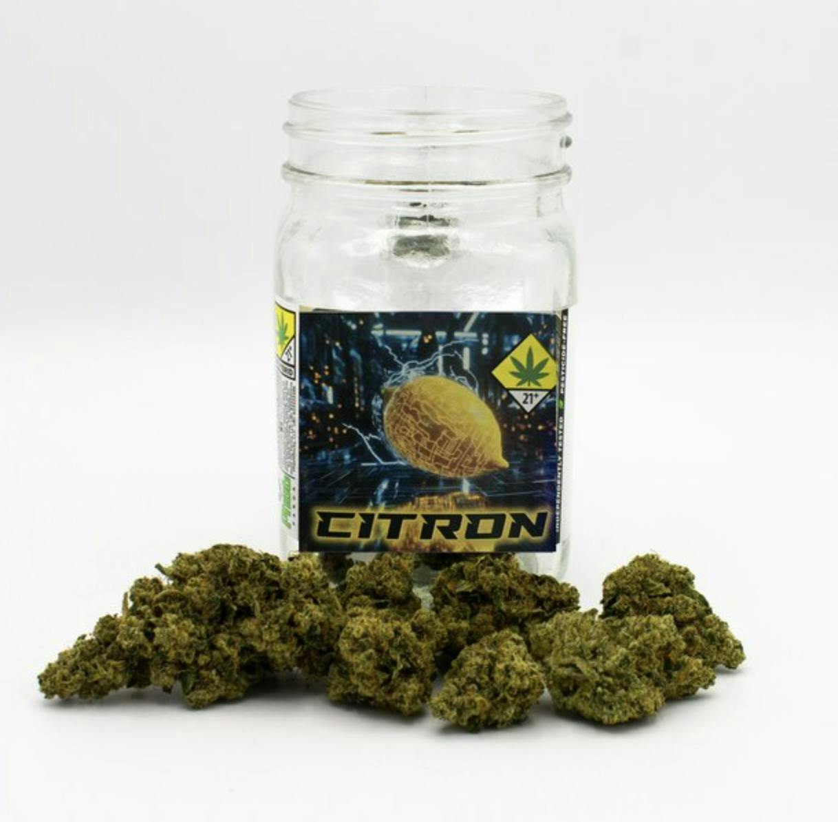 Snickle Fritz - Citron | Big Buds | 7g - 1