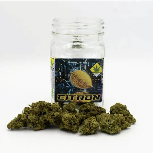 Snickle Fritz - Citron | Big Buds | 7g - 1