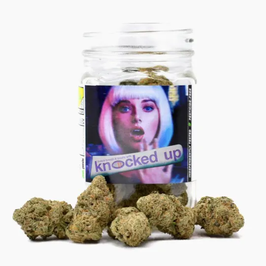 Snickle Fritz - Knocked Up | Big Buds | 3.5g - 1