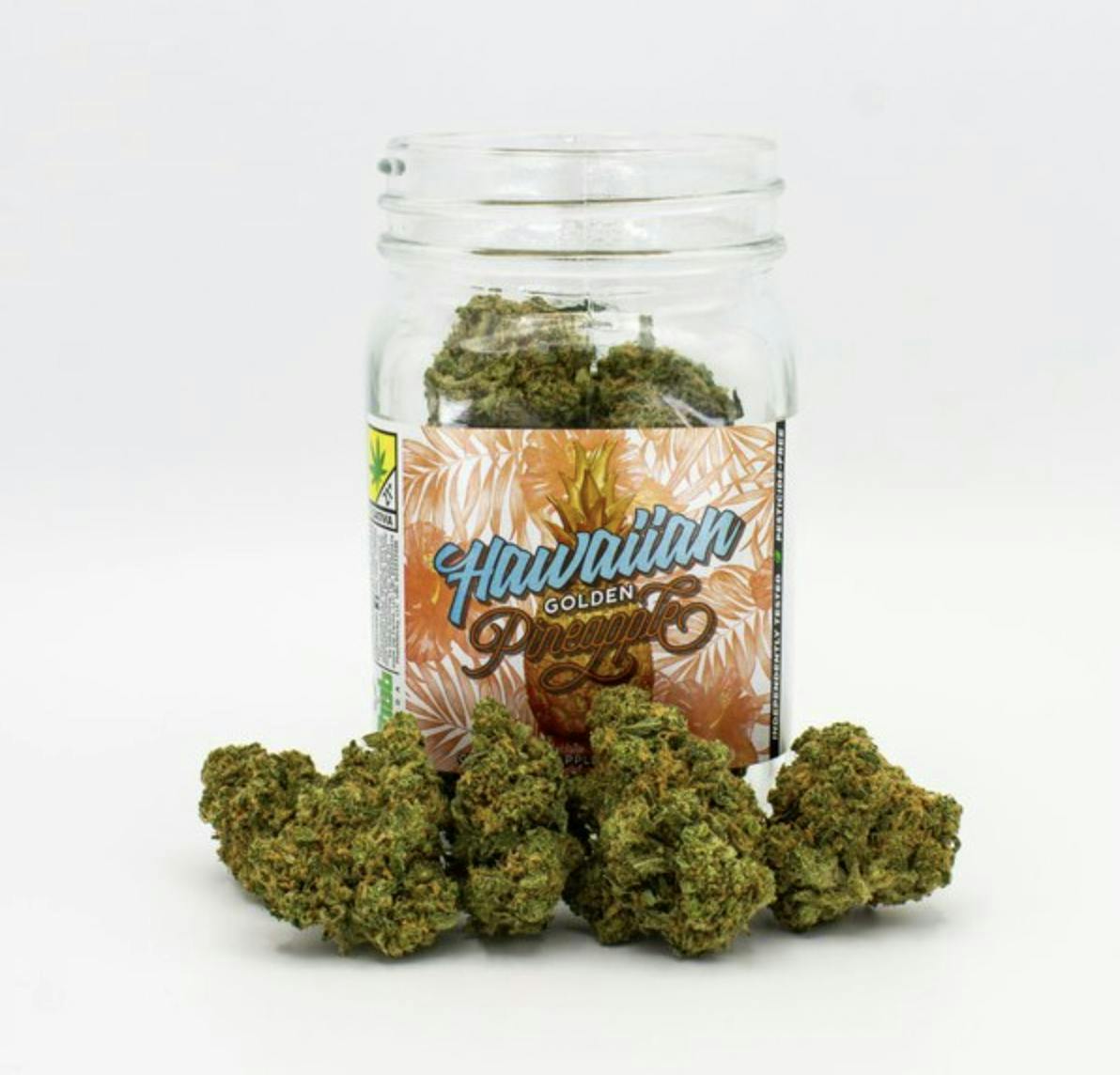 Snickle Fritz - Hawaiian Golden Pineapple | Big Buds | 7g - 1