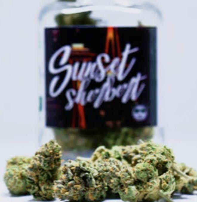 Snickle Fritz - Sunset Sherbert | Big Buds | 14g - 1