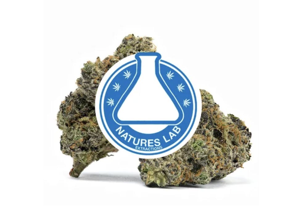 Natures Lab Extracts - Natures Lab Extracts | Platinum Pave #4 | Big Buds | 3.5g - 1