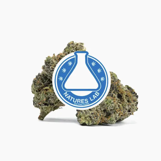 Natures Lab Extracts - Natures Lab Extracts | Platinum Pave #4 | Big Buds | 3.5g - 1