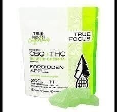True North Collective MI - True North | Forbidden Apple 1:1 CBG:THC Gummies | 100mg | 5ct | 20mg/ea - 1