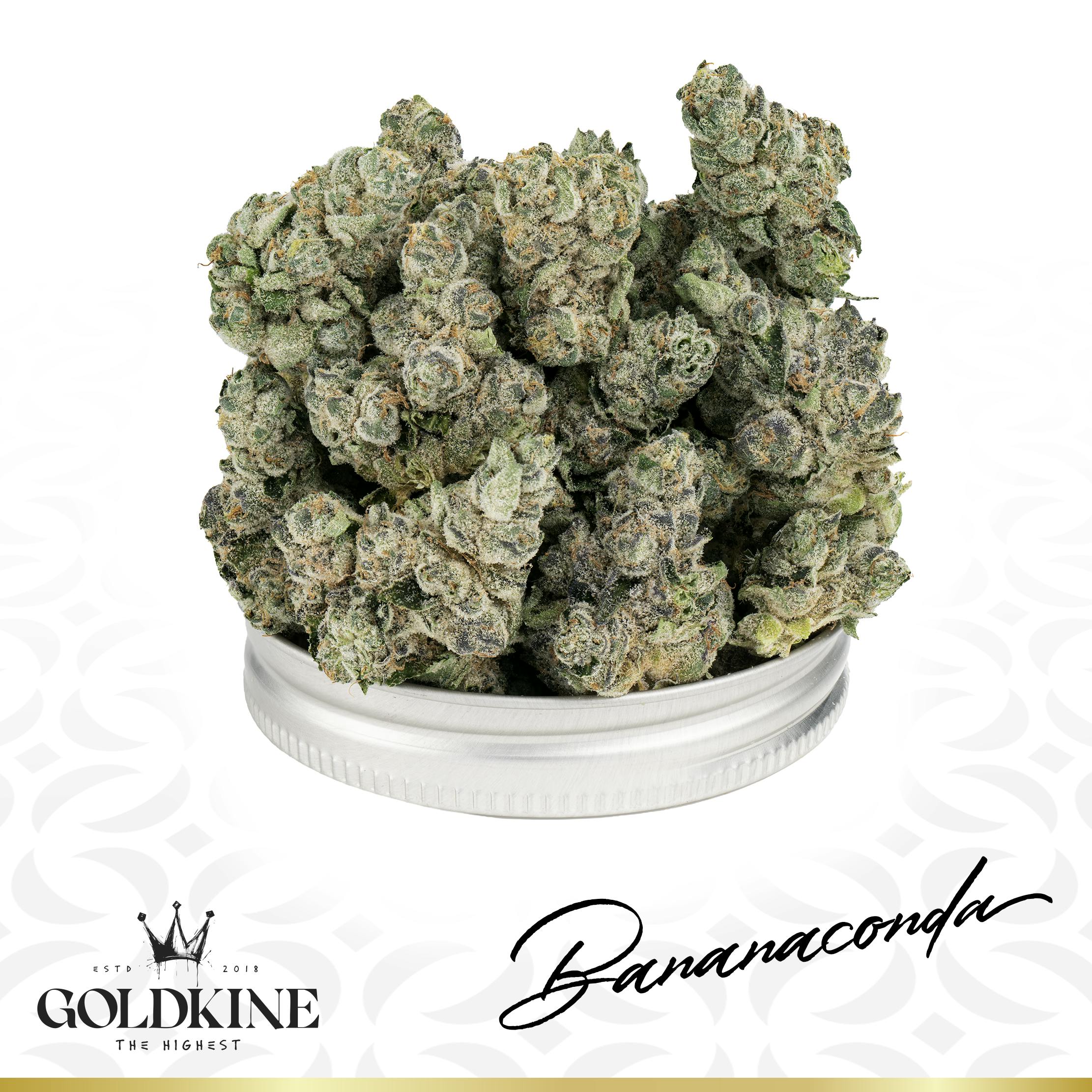 Goldkine - Goldkine Flower "Bigs" | Bananaconda - 1