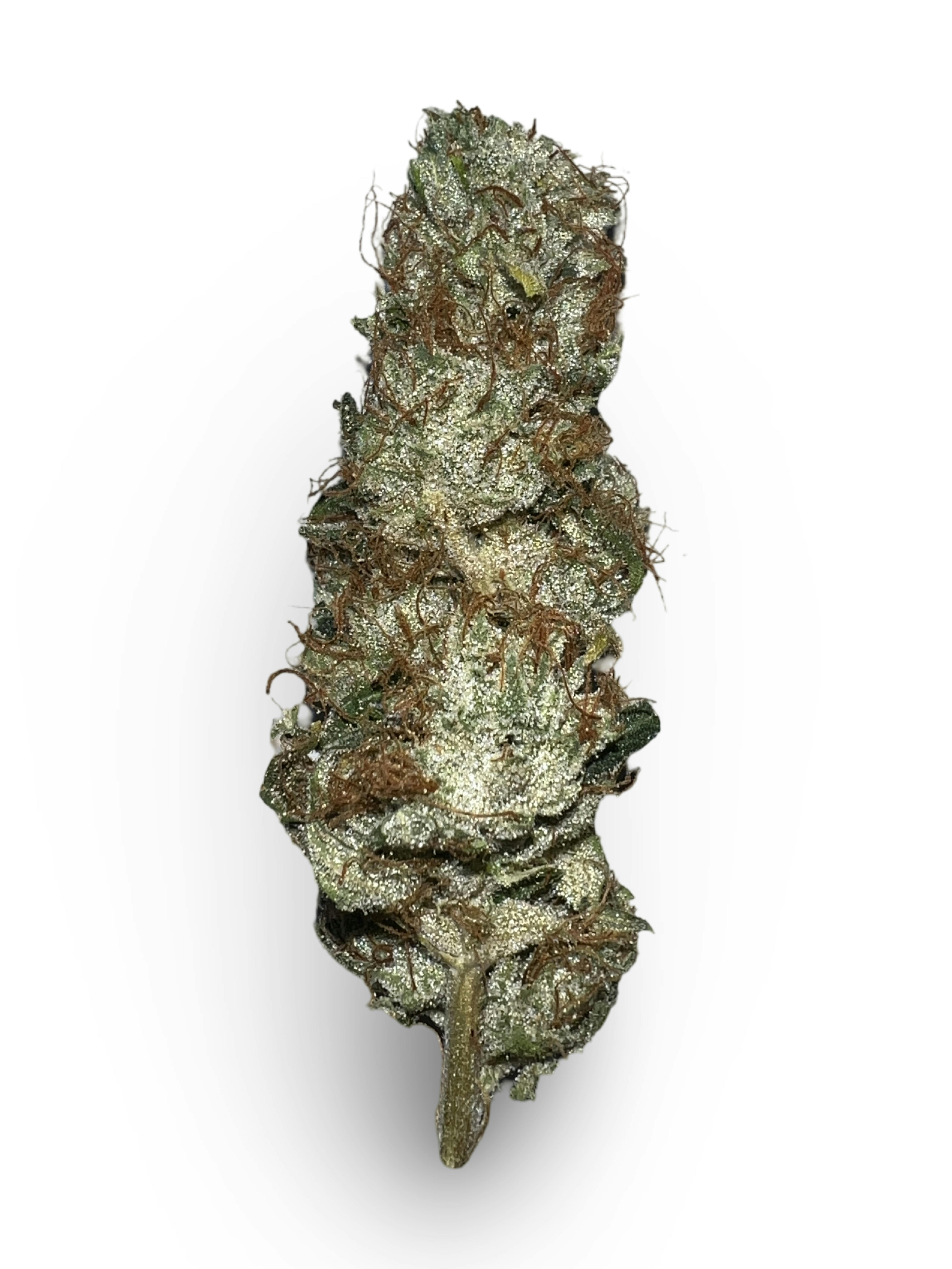 Indico - Topanga Canyon X Pure Kush - Good Life Gardens - 1