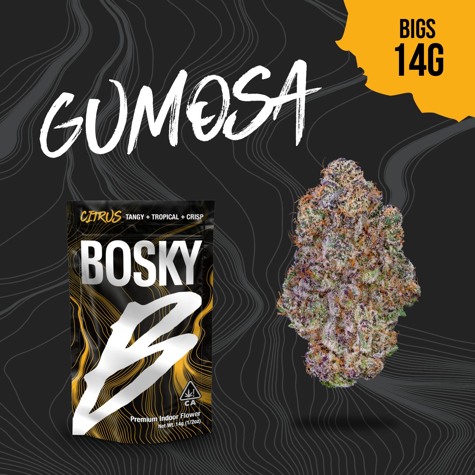 Bosky Genetics - BOSKY | Gumosa | Big Buds | Citrus | 14g - 1