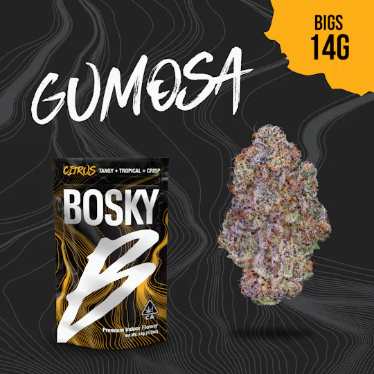 Bosky Genetics - BOSKY | Gumosa | Big Buds | Citrus | 14g - 1