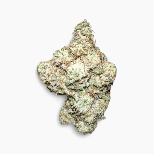 Indico - MAC 1 - Think Higher Cultivation - 1