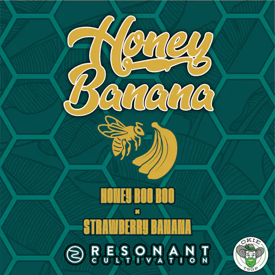 Okie TSGP - Honey Banana (Resonant) - Live Hash Rosin Batter - 4g - 1