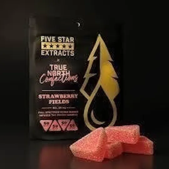 True North Collective MI - True North x Five Star | Strawberry Fields Gummies | 200mg | 4ct | 50mg/ea - 1