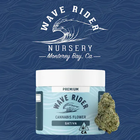 Wave Rider - Wave Rider | Blueberry Blast | Big Buds | 14g - 1