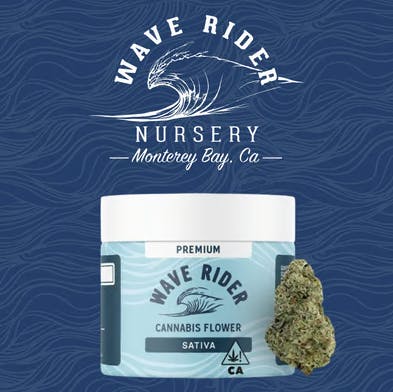Wave Rider - Wave Rider | Lemon Zest | Premium Big Buds | 14g - 1