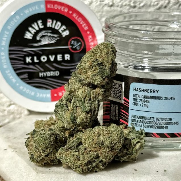 Wave Rider - Wave Rider x Klover | Hashberry | Premium Big Buds | 3.5g - 1