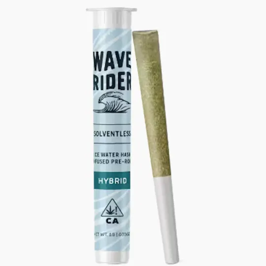 Wave Rider - Wave Rider | Grape God | Hash Infused Joint | 1g - 1