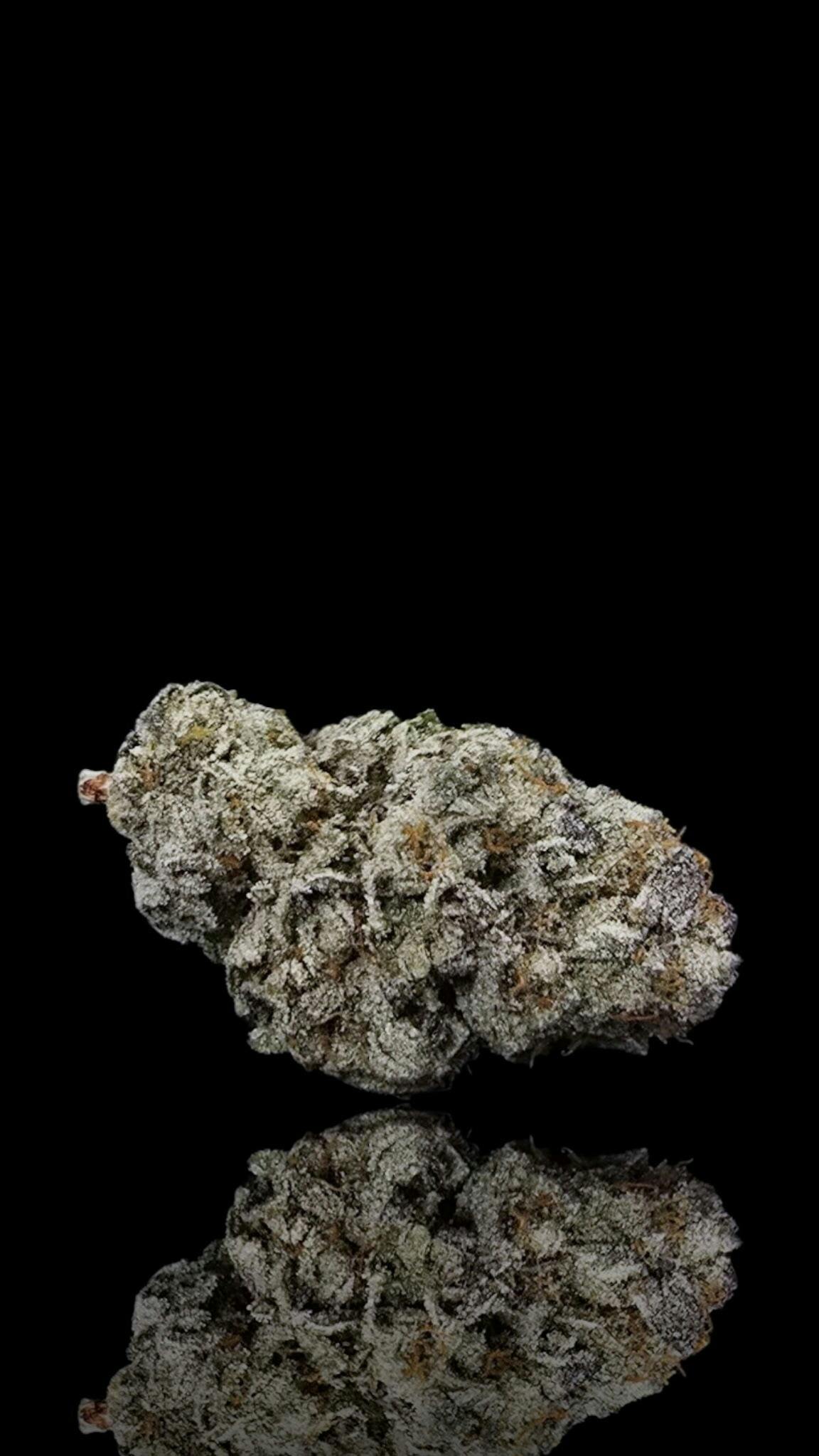 Grant Pharms - Kimbo Kush #2 - 1