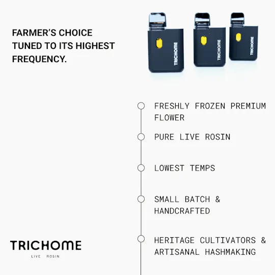 Trichome - Trichome x Casa Flor | Tallymon 2.0 | Premium Live Rosin Disposable | 1g - 1