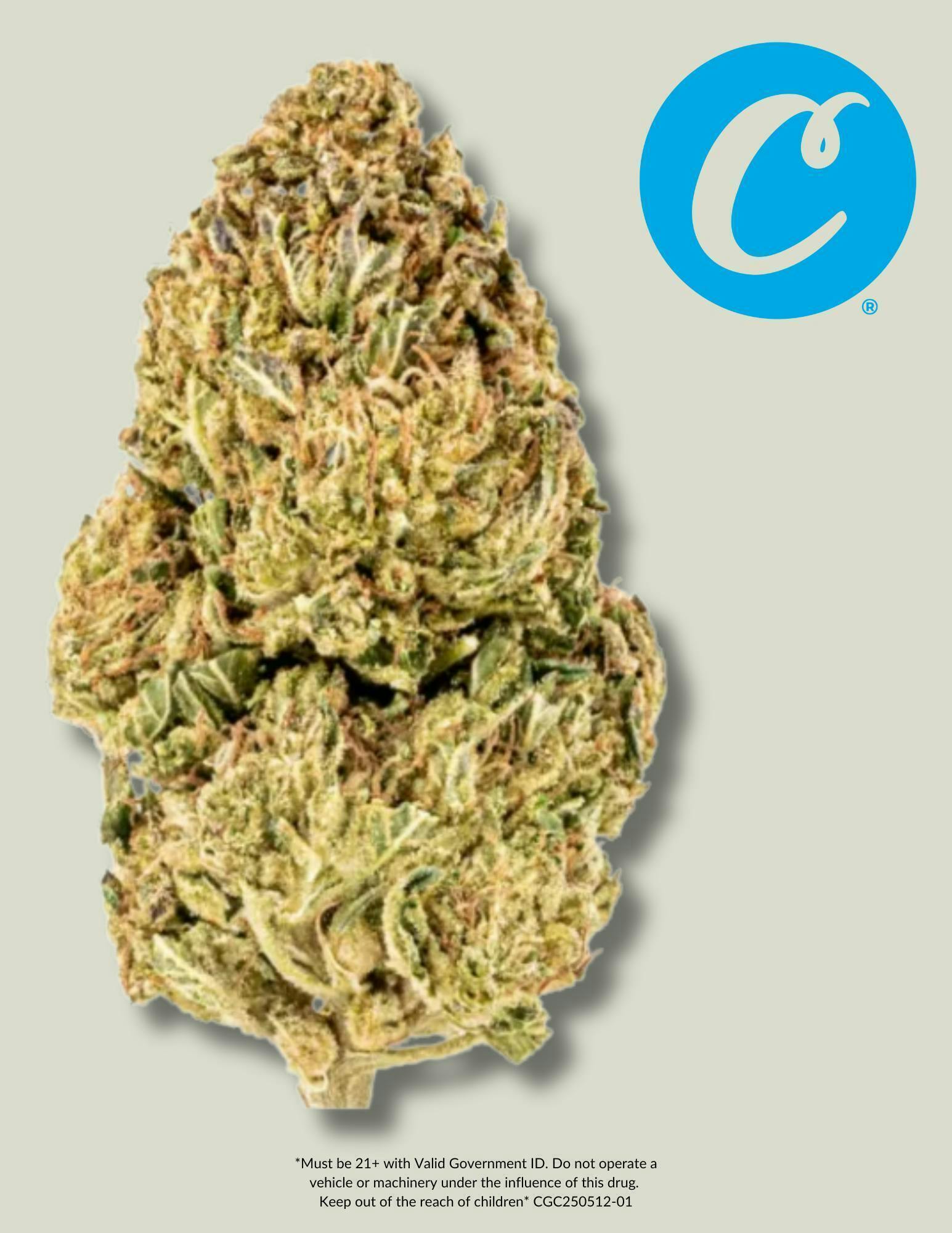 Cookies - Cookies | Cinnamon Milk | Big Buds Baggie | 3.5g - 1
