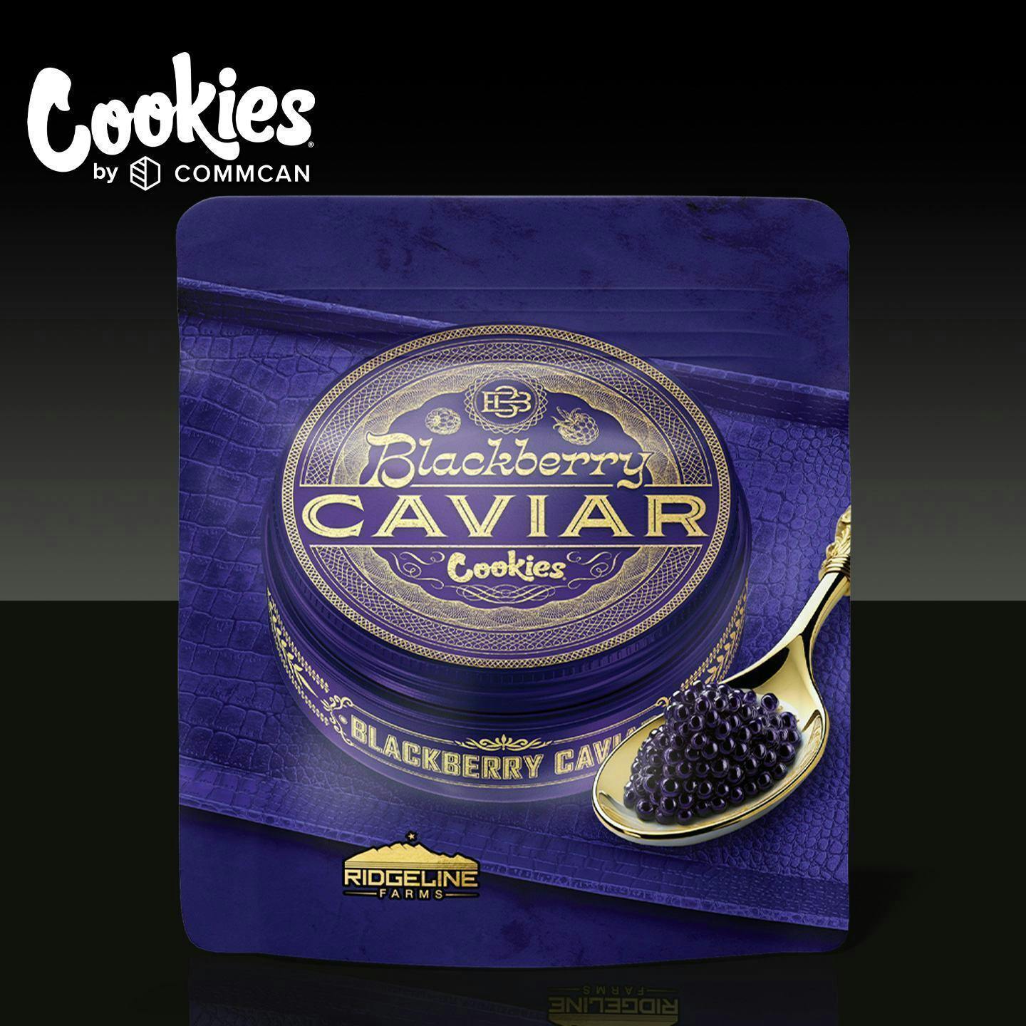 Cookies - Cookies | Blackberry Caviar | Big Buds Baggie | 3.5g - 1