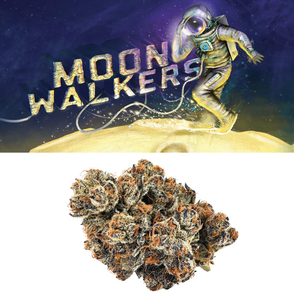 Cookies - Cookies | Moon Walkers | Big Buds Baggie | 3.5g - 1