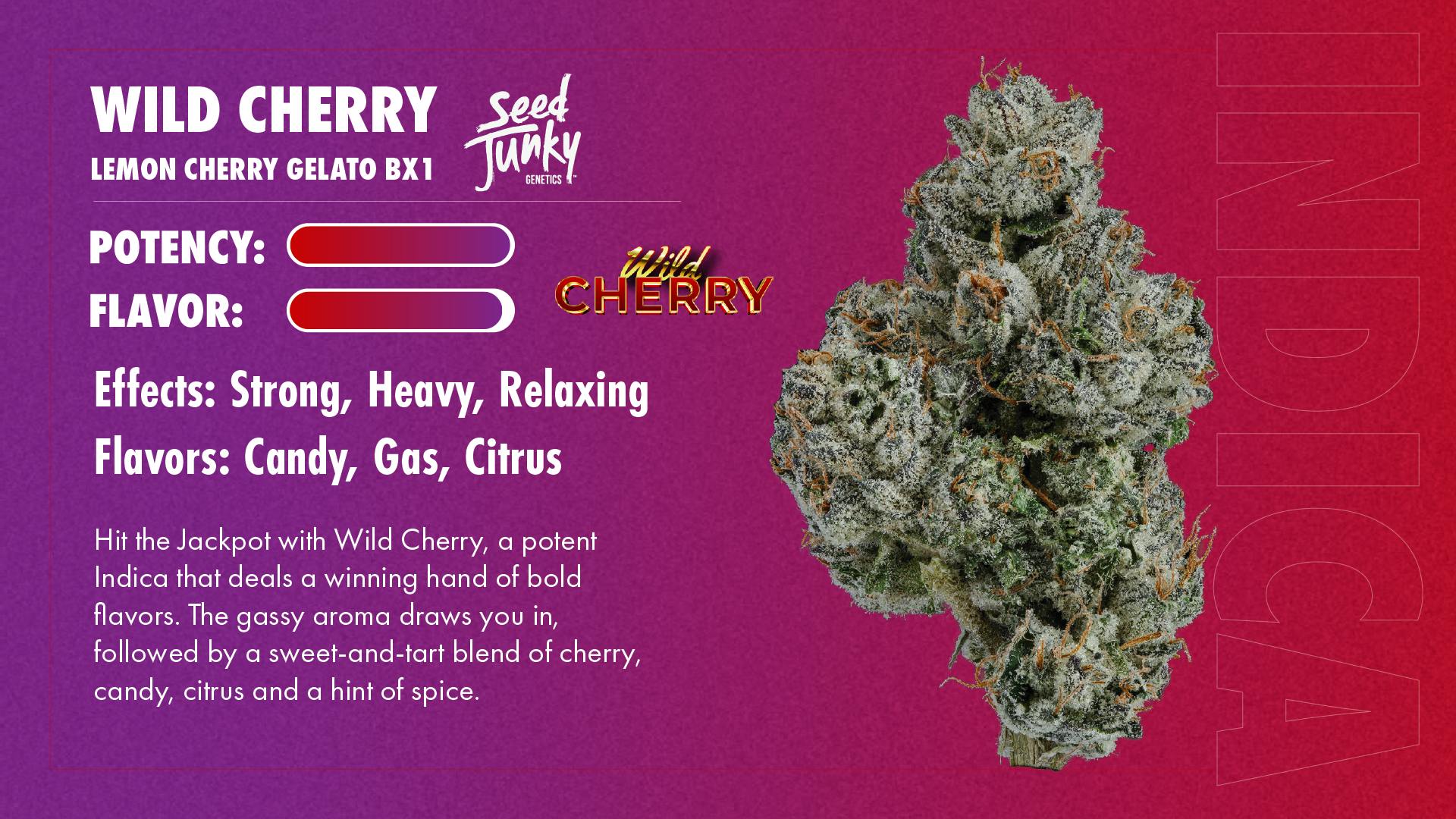 Seed Junky - Seed Junky | Wild Cherry | Big Buds | 3.5g - 1