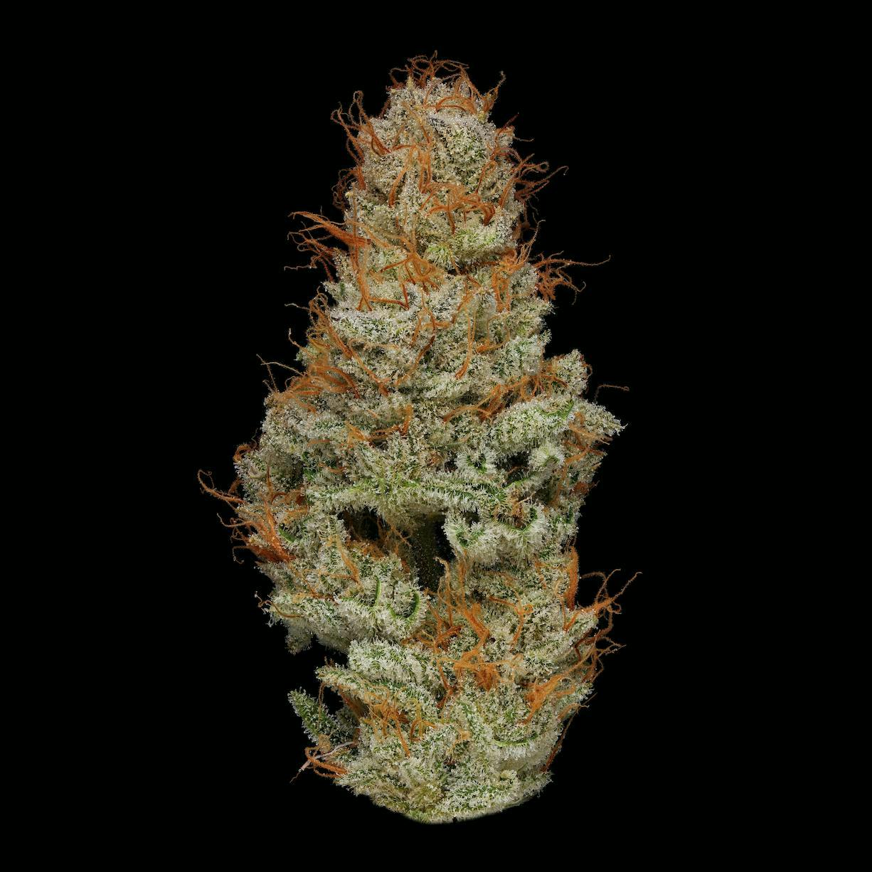 Plaid Jacket - Dirty White Girls | Big Buds | 3.5g - 1
