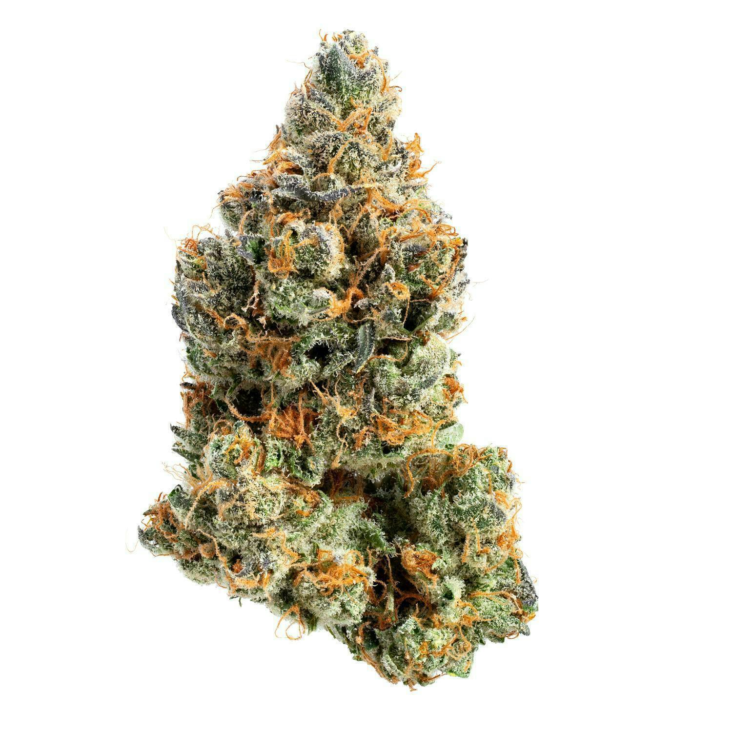 Project Packs - Orange Cookies | Big Buds | 3.5g - 1