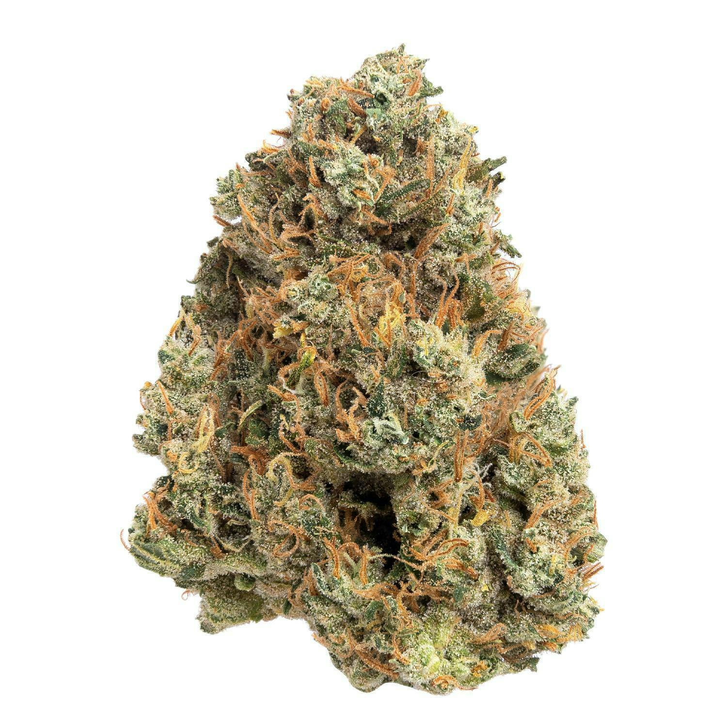 Project Packs - Poison | Big Buds | 3.5g - 1
