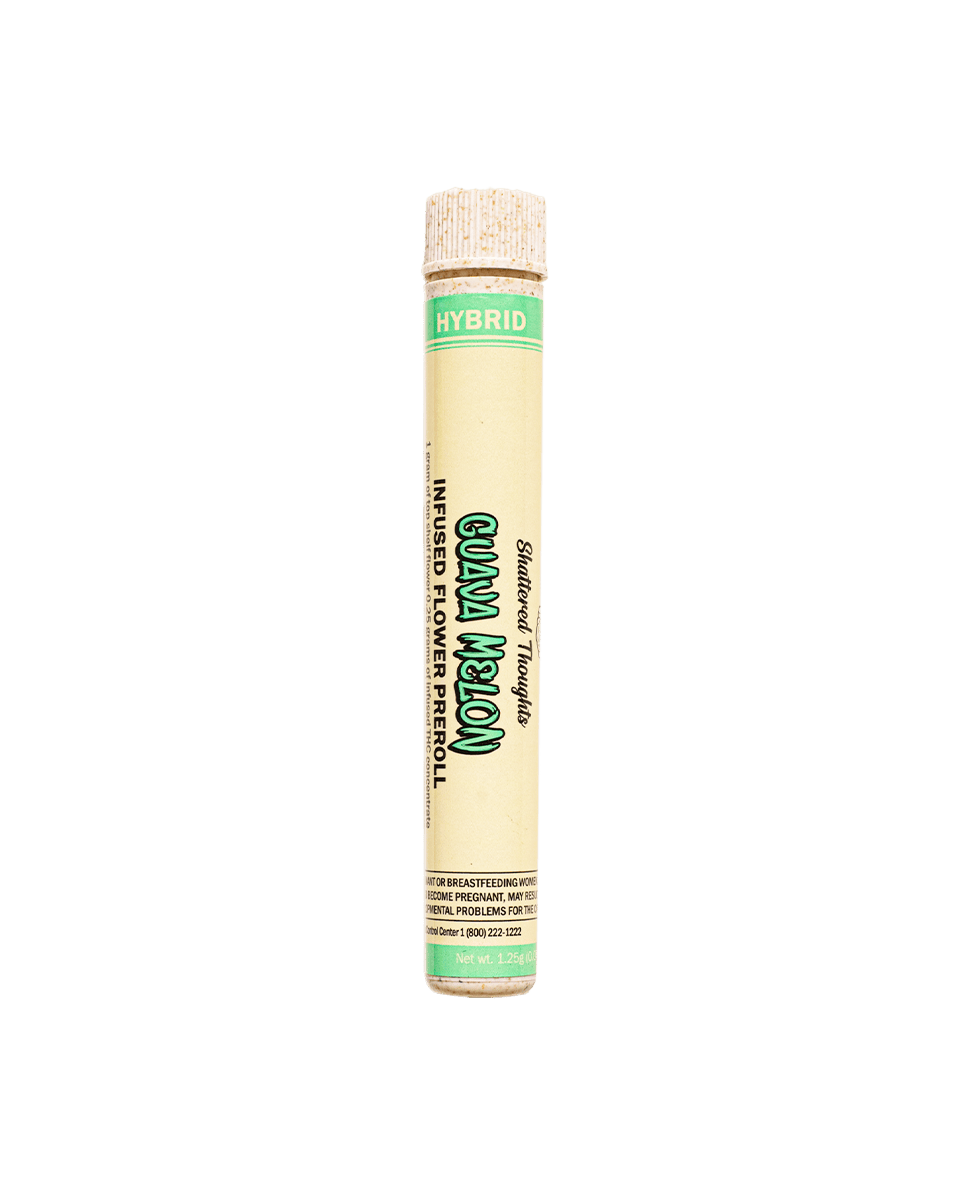 Shattered Thoughts - Shattered Thoughts | Guava Melon | Infused Joint | Hybrid | 1.25g - 1