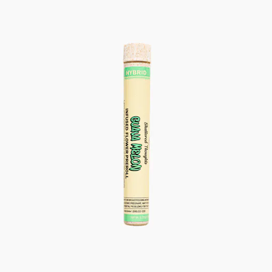 Shattered Thoughts - Shattered Thoughts | Guava Melon | Infused Joint | Hybrid | 1.25g - 1