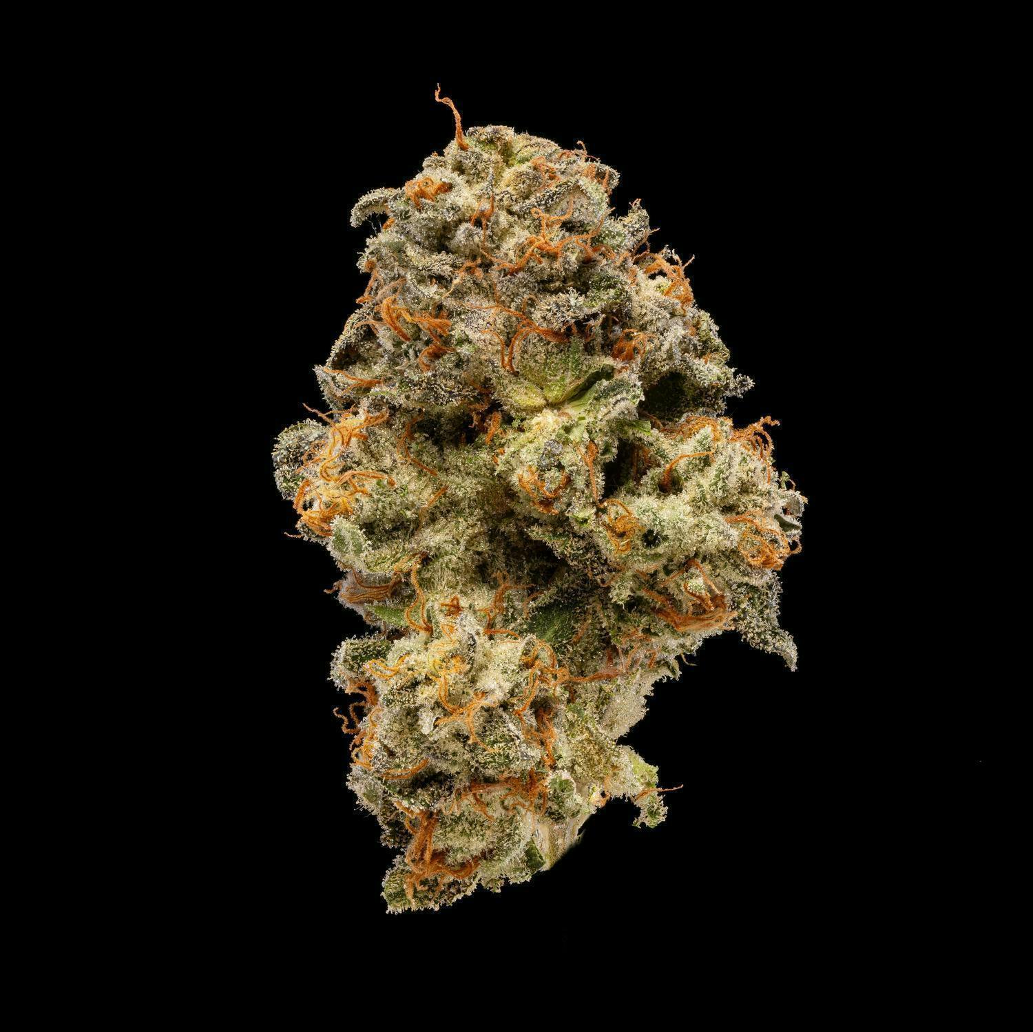 Plaid Jacket - Power | Big Buds | 3.5g - 1