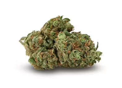 Project Packs - Animalz | Big Buds | 3.5g - 1