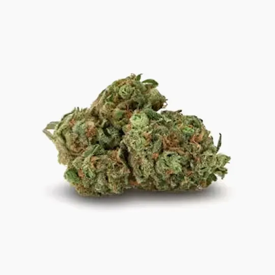 Project Packs - Animalz | Big Buds | 3.5g - 1
