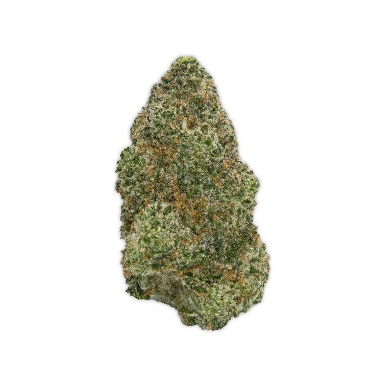 Vireo - Purple Cookies | Big Buds | 3.5g - 1