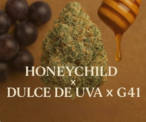 Royal Leaf - Royal Leaf | Honey Child | Big Buds | 3.5g - 1