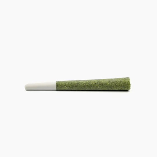 Plaid Jacket - Miracle Alien Cookies | Joint | 1g - 1