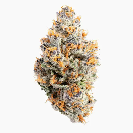 Project Packs - Lemonfeen | Big Buds | 3.5g - 1