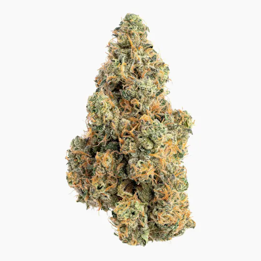 Project Packs - Lemon Kush | Big Buds | 3.5g - 1