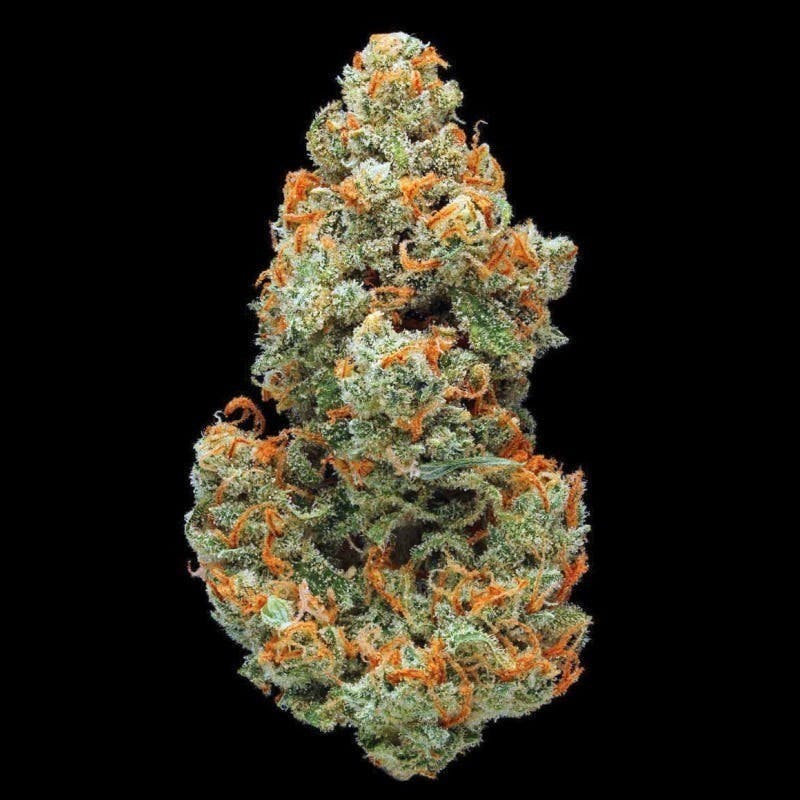 Platinum Reserve - Jack Herer | Big Buds | 14g - 1