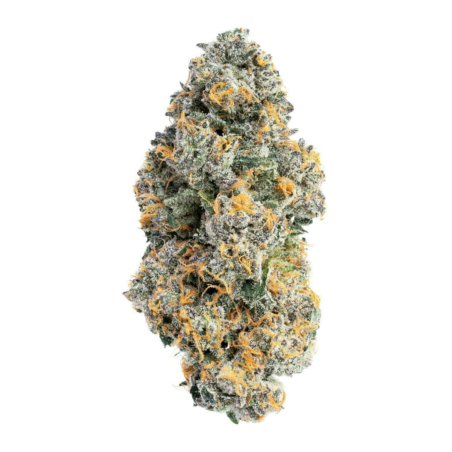 Project Packs - Woogity | Big Buds | 3.5g - 1